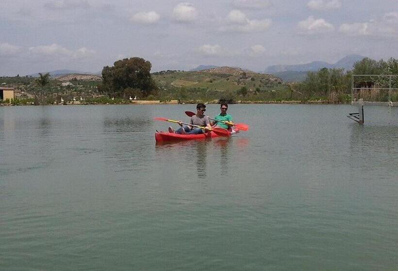 Отель Ciuci S Manor