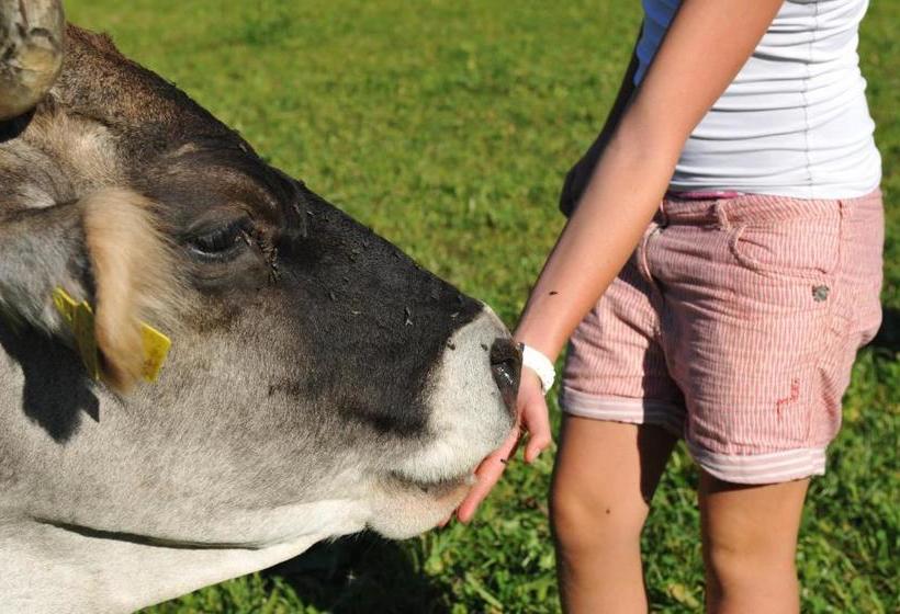 호텔 Untersillerhof