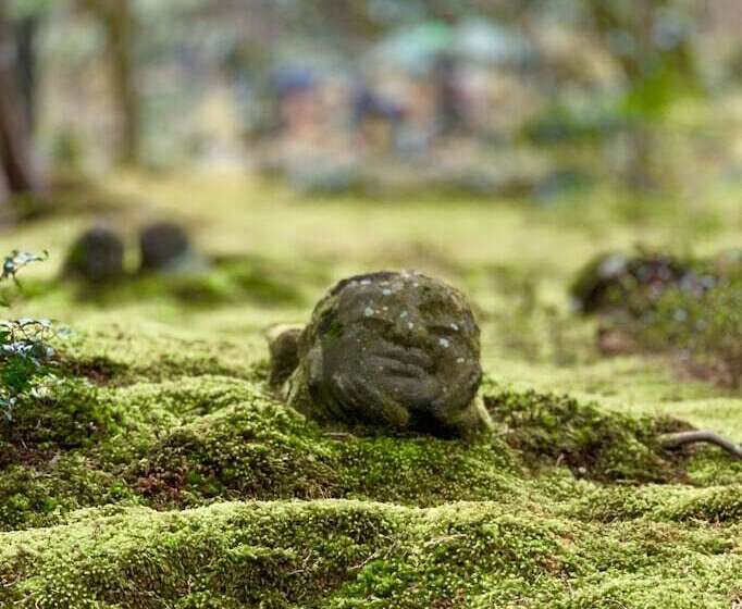 Japanese Ryokan Seryo