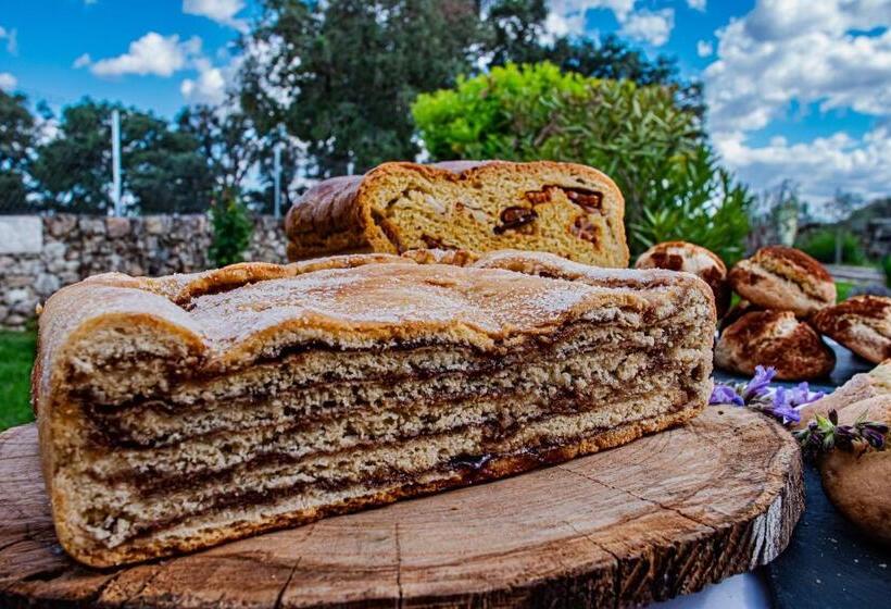 بنسيون Casas Campo Cimo Da Quinta