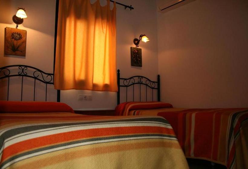 بنسيون El Aceitón