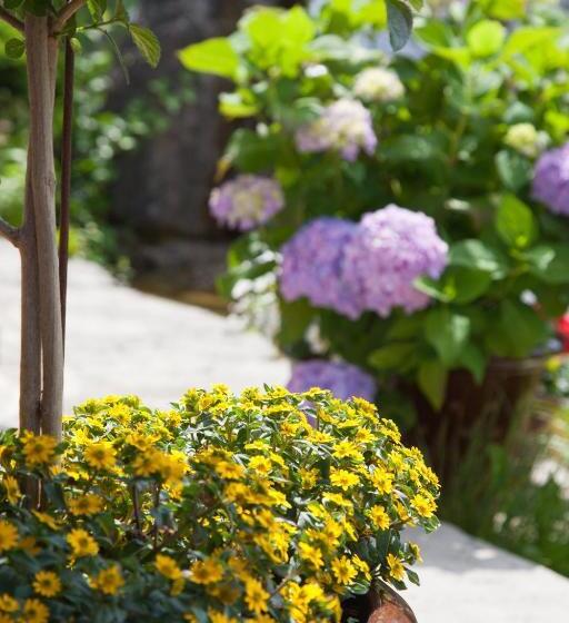 פנסיון Gästehaus Behle Schäperken