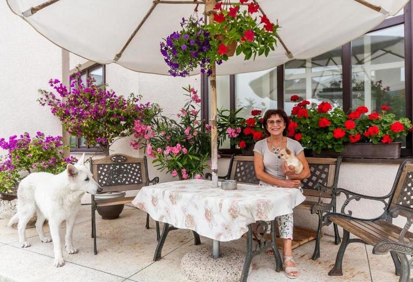 پانسیون Guesthouse Marija