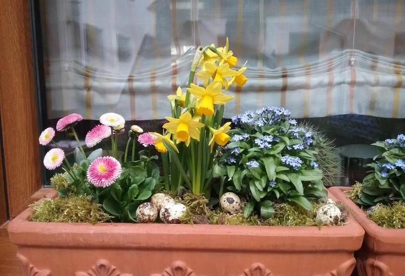 פנסיון Haus Am Kastanienwald