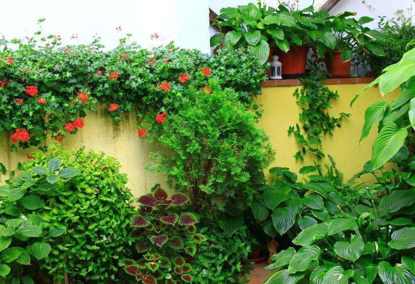 بنسيون Hostal Escartín