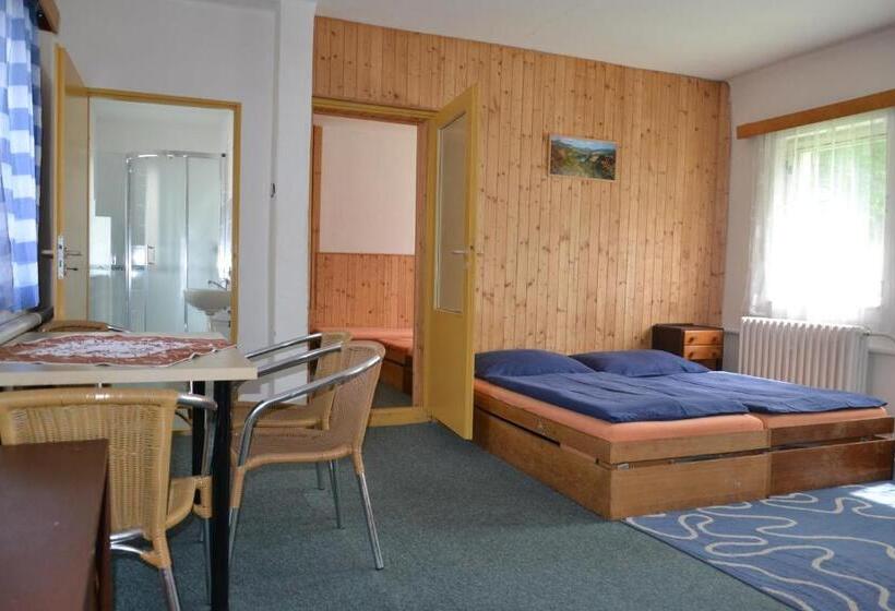 بنسيون Hostel Fortuna