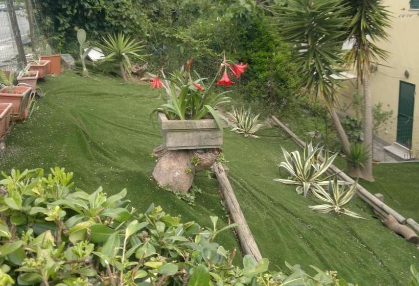 پانسیون Le Conchiglie