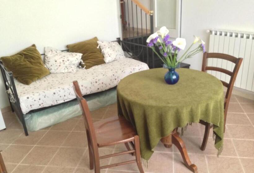 پانسیون Le Conchiglie