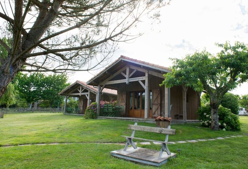 פנסיון Maison De Mézos