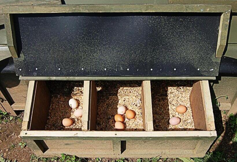 بنسيون Monte Do Laranjal