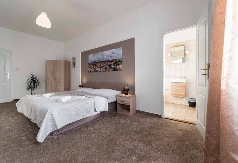 펜션 Penzion Homer Slany