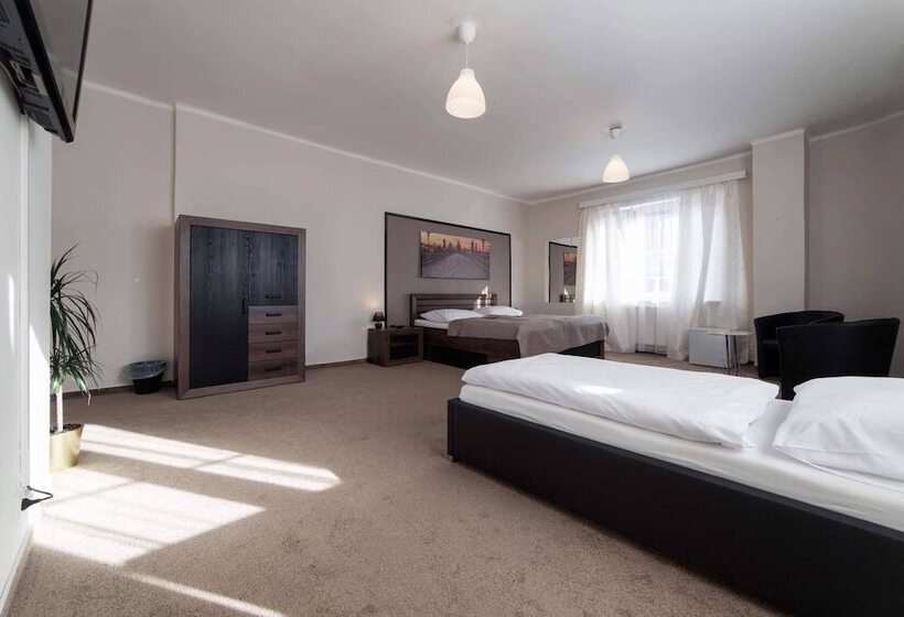 펜션 Penzion Homer Slany