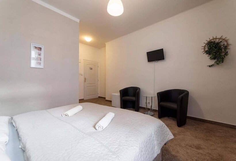 펜션 Penzion Homer Slany