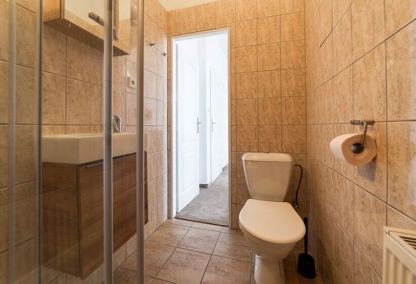 펜션 Penzion Homer Slany