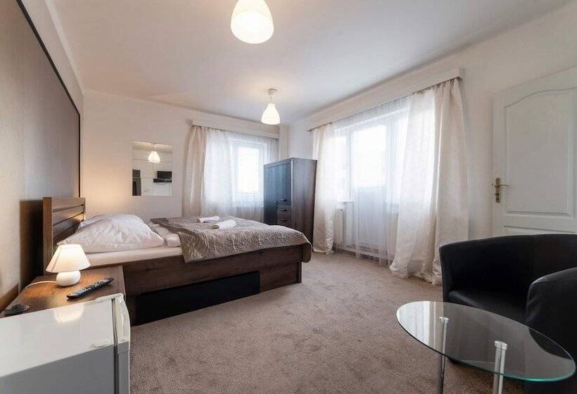 펜션 Penzion Homer Slany