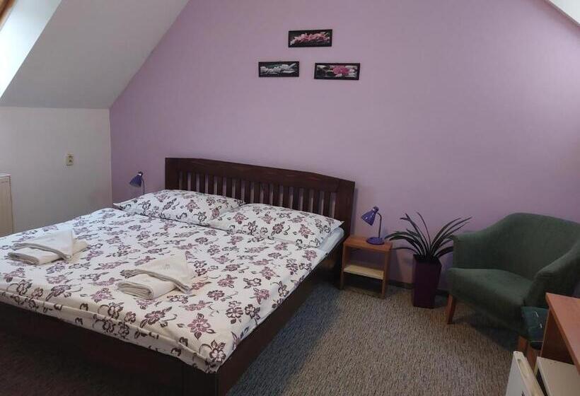 膳宿费 Penzion Raj