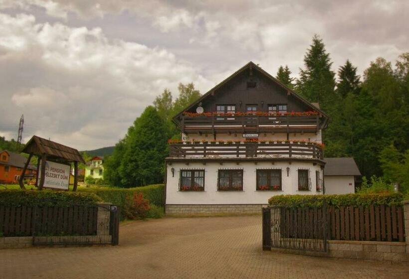 Пансион Apartmány Slezský Dům