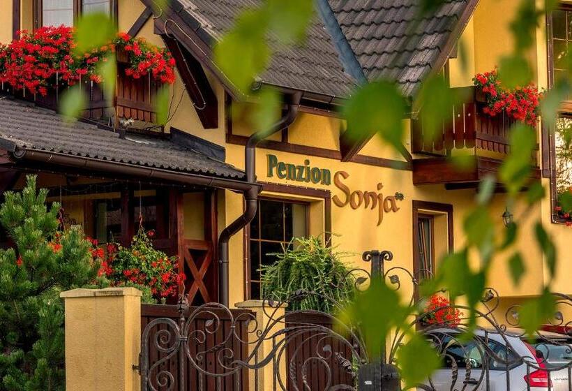Пансион Penzion Sonja