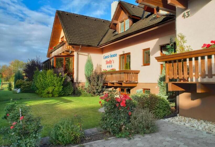 膳宿费 Penzion U šeliho