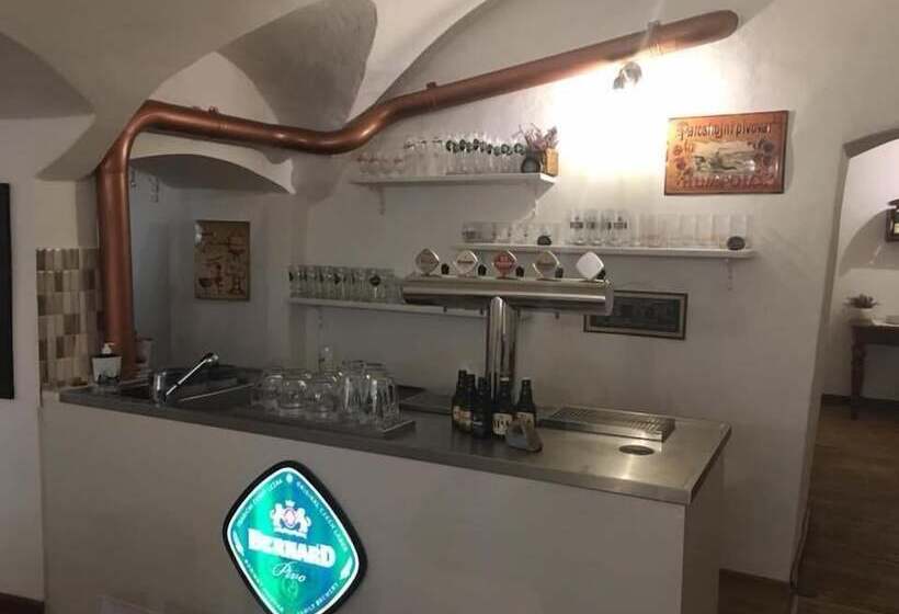 بنسيون Penzion U Lucerny