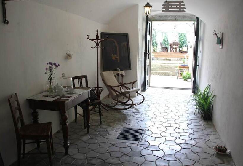 بنسيون Penzion U Lucerny