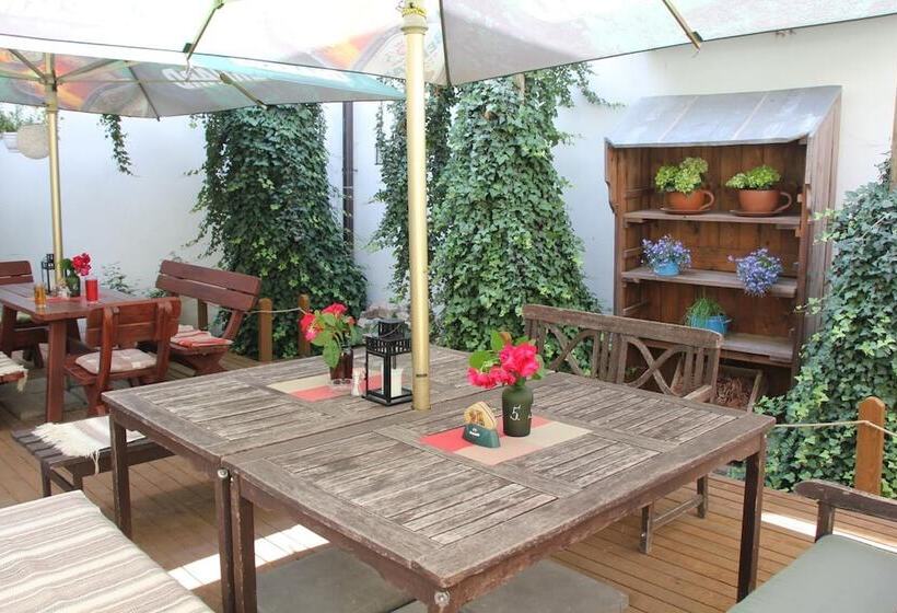 بنسيون Penzion U Lucerny