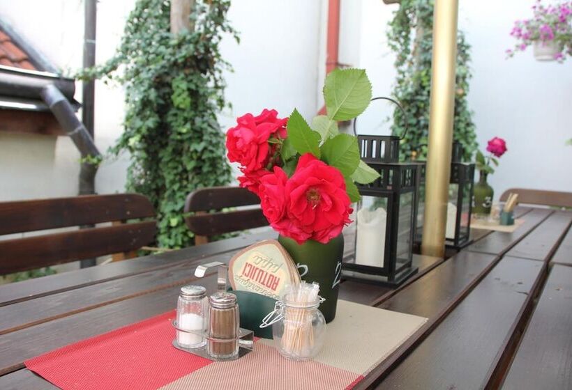 بنسيون Penzion U Lucerny