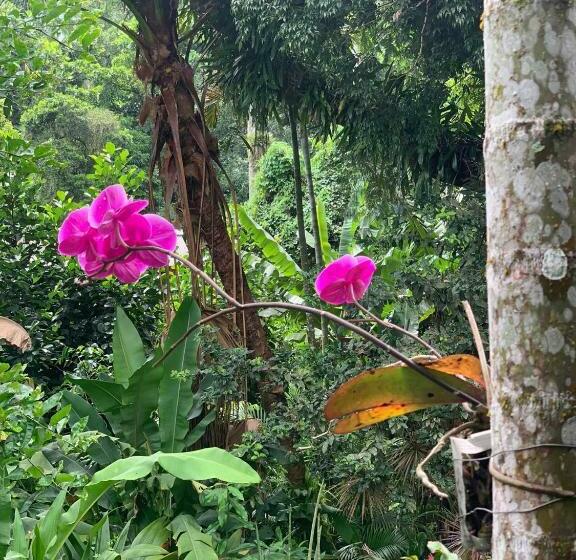 膳宿费 Pousada Cachoeira