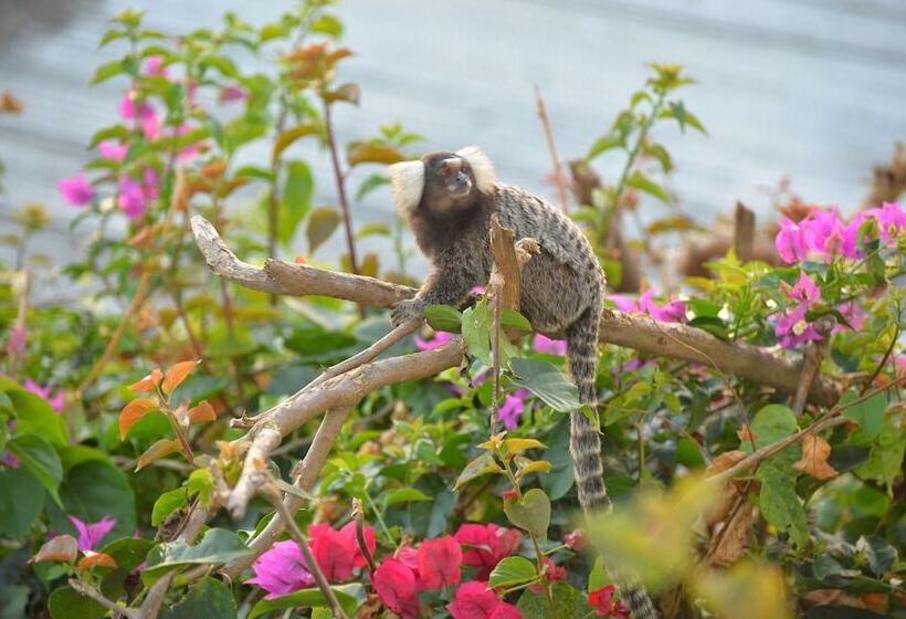 بنسيون Pousada Do Gunga