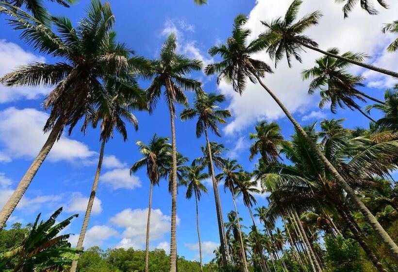 بنسيون Pousada Do Gunga