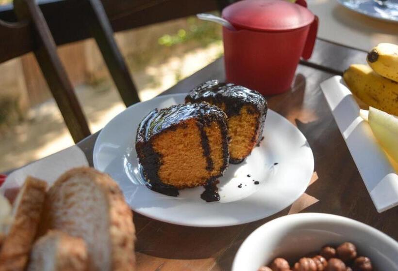 Пансион Pousada Paloma