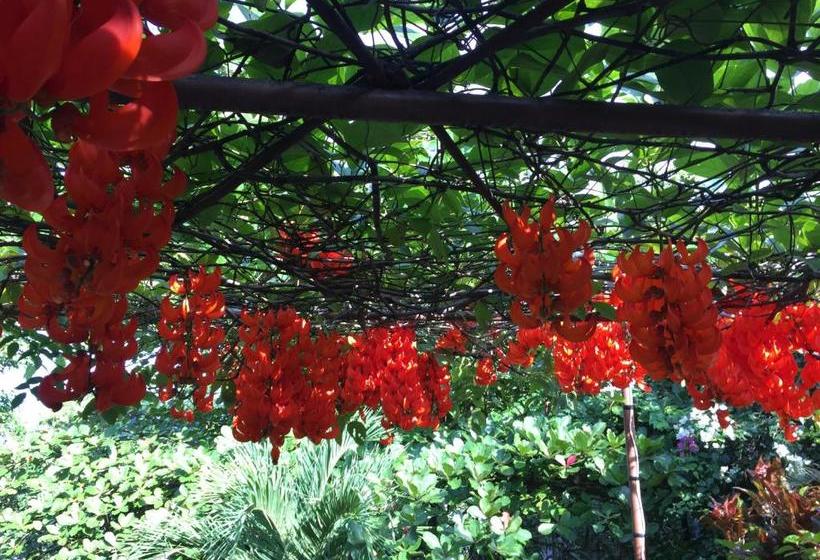 ペンション Villa Ma Rasai