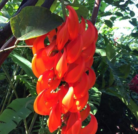 پانسیون Villa Ma Rasai