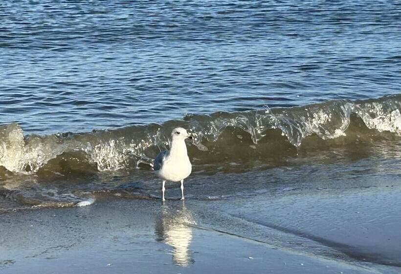 Pension Wald Und See