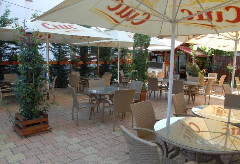 Pensiunea Turistica Europa