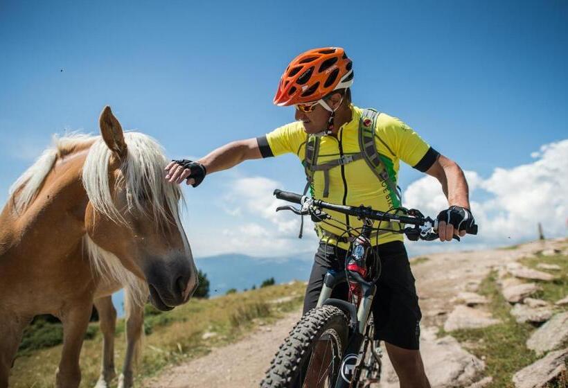 Residence Villa Stella