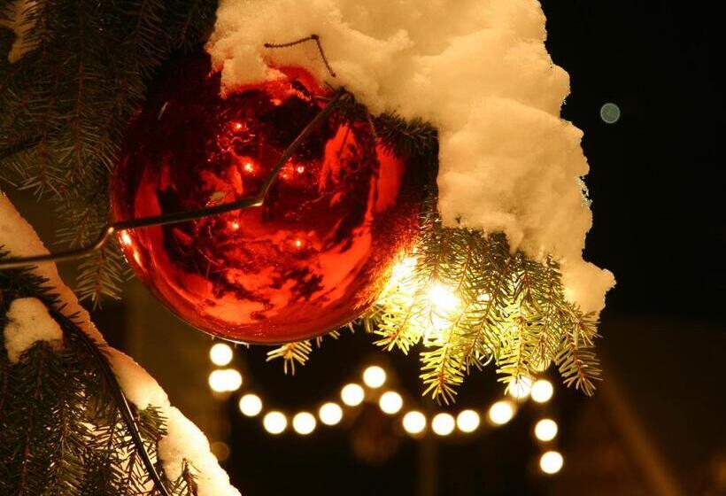 Residence Villa Stella