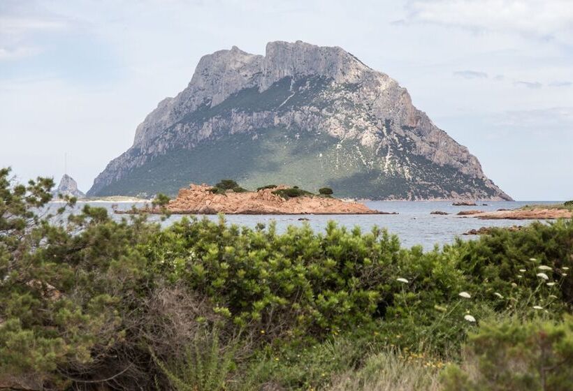 White Sand Residence