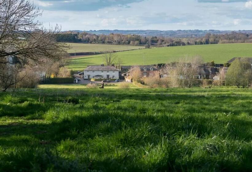 הוסטל The Hawk Inn