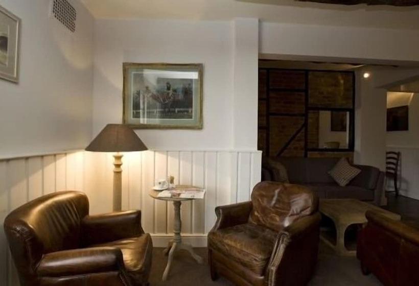 הוסטל The Hawk Inn