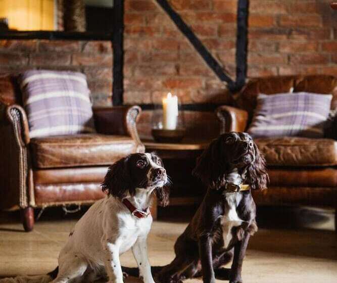 הוסטל The Hawk Inn