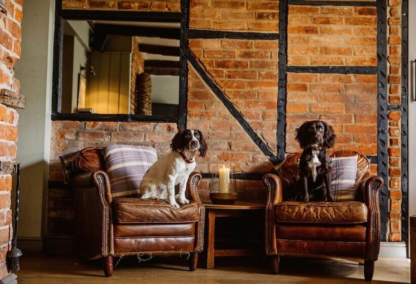 הוסטל The Hawk Inn