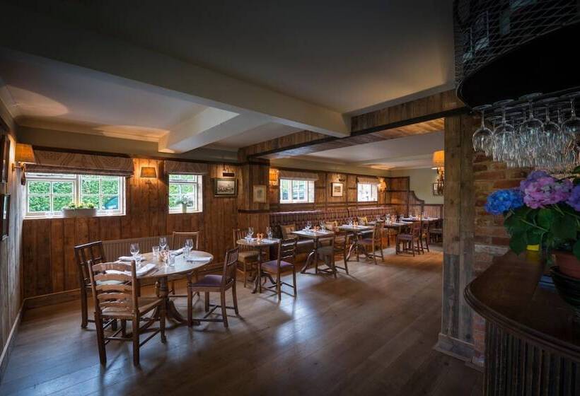 הוסטל The Hawk Inn