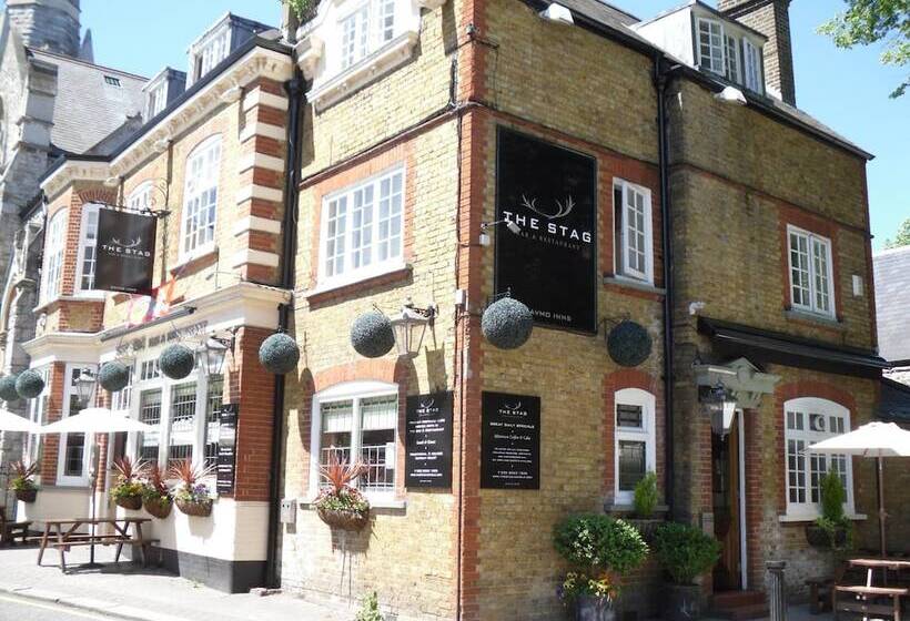 旅馆 The Stag Enfield