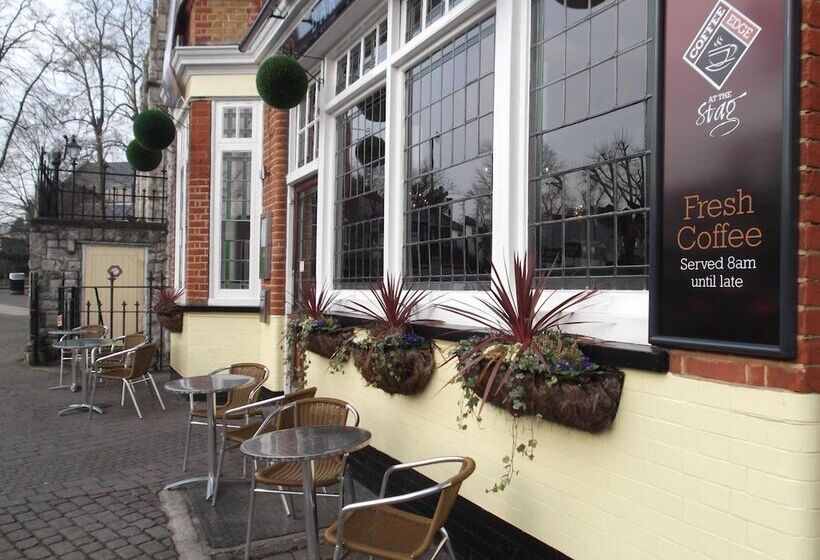 旅馆 The Stag Enfield