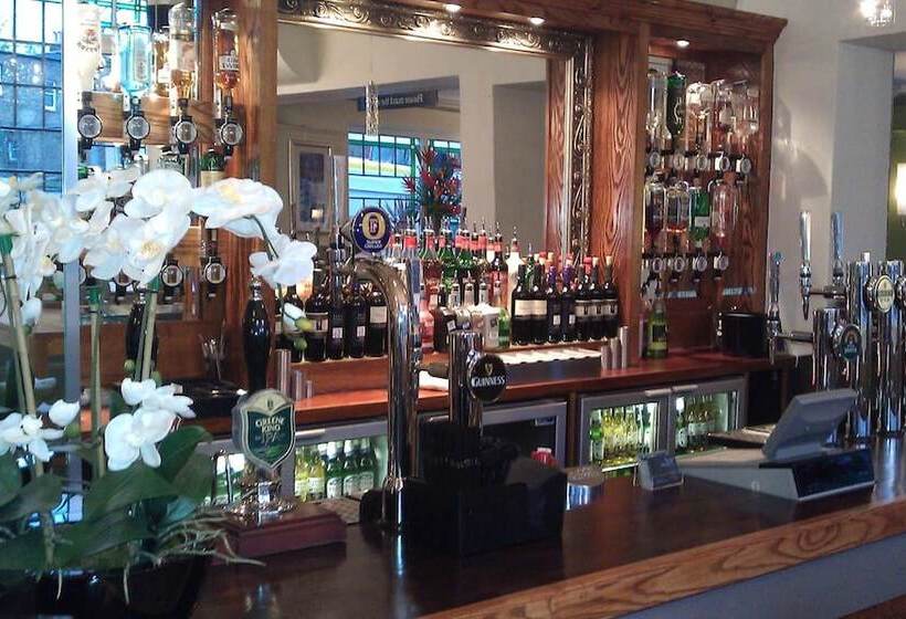 旅馆 The Stag Enfield