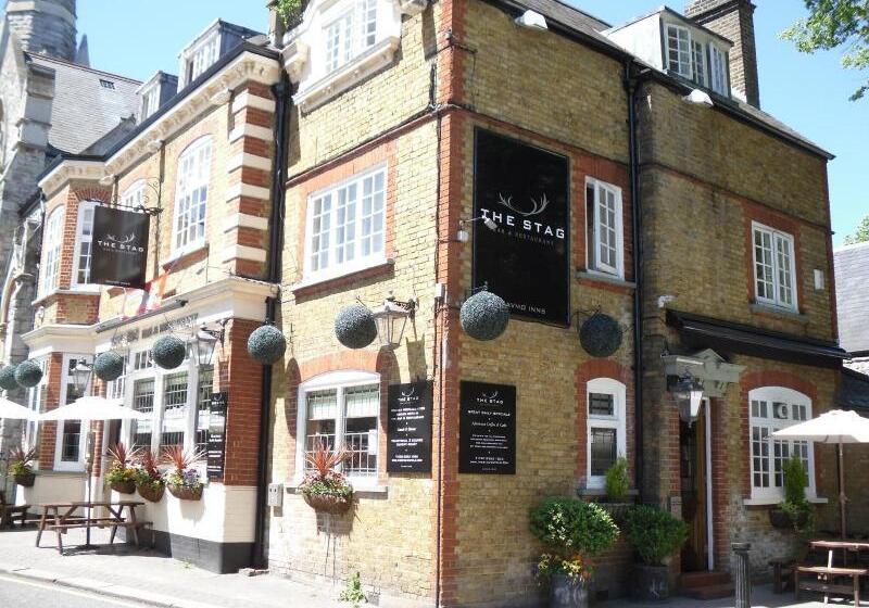 旅馆 The Stag Enfield