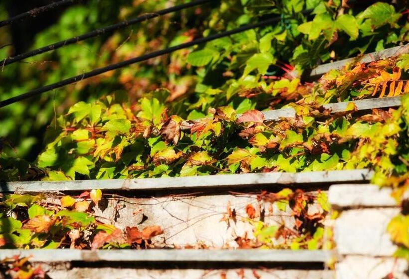 Apartments Tirolerhof