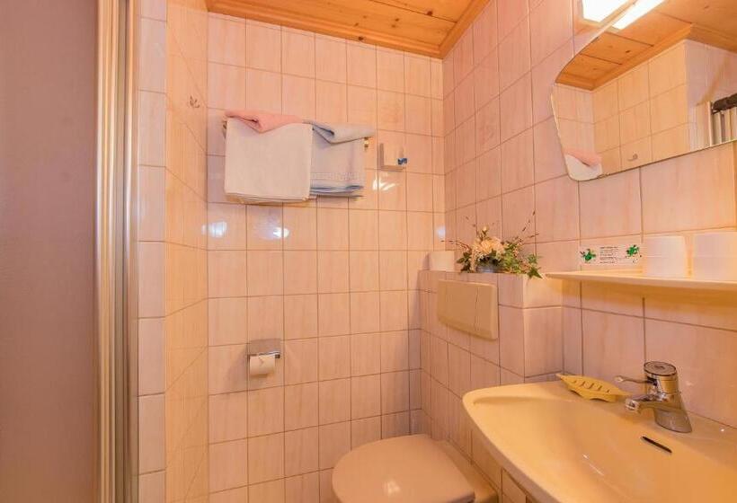 צימר Pension Rieder