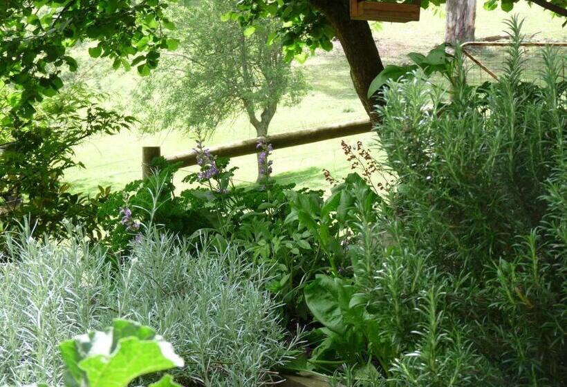 Brentwood Accommodation B&b Apartments   Yarra Valley